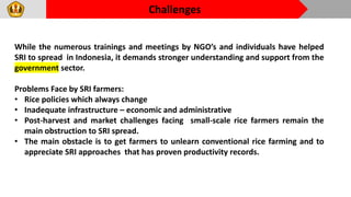 2205 - System of Rice Intensification in Indonesia - Research, Adoption ...
