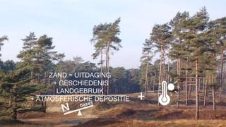 ZAND = UITDAGING
+ GESCHIEDENIS
LANDGEBRUIK
+ ATMOSFERISCHE DEPOSITIE +
 