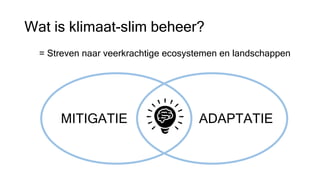 Wat is klimaat-slim beheer?
= Streven naar veerkrachtige ecosystemen en landschappen
ADAPTATIE
MITIGATIE
 