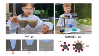 WATER NUTRIËNTEN
ZAND
KLEI
ZAND LEEM KLEI
H+
H+
H+ H+
H+ H+
H+
H+
H+
H+
 