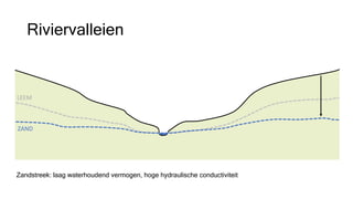 Riviervalleien
ZAND
LEEM
Zandstreek: laag waterhoudend vermogen, hoge hydraulische conductiviteit
 