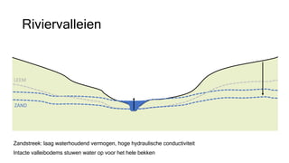 Zandstreek: laag waterhoudend vermogen, hoge hydraulische conductiviteit
Intacte valleibodems stuwen water op voor het hele bekken
Riviervalleien
ZAND
LEEM
 