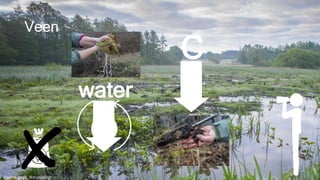 Veen
C
water
Zwarte beek, Natuurpunt
 