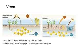Veen
Prioriteit 1: water(kwaliteit) op peil houden
+ herstellen waar mogelijk -> case per case bekijken
 