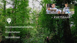= KWETSBAAR
Boomsoortsamenstelling
Waterbeheer
Microklimaat
 