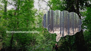 Boomsoortsamenstelling
 