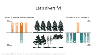 Let’s diversify!
Messier et al., 2021. For the sake of resilience and multifunctionality, let’s diversify planted forests!
NEGATIEVE IMPACT KLIMAATVERANDERING GELEVERDE ECOSYSTEEMDIENSTEN
 