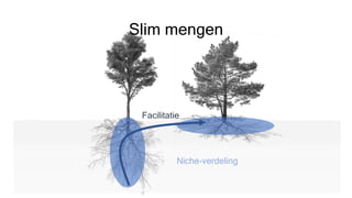 Slim mengen
Niche-verdeling
Facilitatie
 