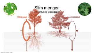 Rijkstrooisel Arm strooisel
Slim mengen
= verzuring tegengaan
Muys and Granval, 1991
 