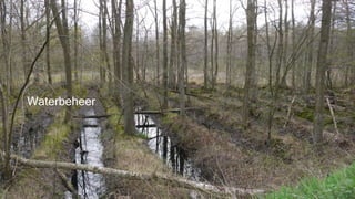 Waterbeheer
 