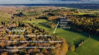 Droogtestress + hittestress verminderen
Coldspots = belangrijke hotspots voor biodiversiteit
Klimaatadaptief bosbeheer = een variatie aan
microklimaten
Microklimaat
WIND
DROOGTE
BRAND
LICHT
STIKSTOF
 