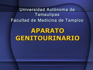 Universidad Autónoma deUniversidad Autónoma de
TamaulipasTamaulipas
Facultad de Medicina de TampicoFacultad de Medicina de Tampico
APARATOAPARATO
GENITOURINARIOGENITOURINARIO
 