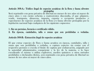 Artículo 308-A.- Tráfico ilegal de especies acuáticas de la flora y fauna silvestre
                                     protegidas
Será reprimido con pena privativa de libertad no menor de tres años ni mayor de
cinco años y con ciento ochenta a cuatrocientos días-multa, el que adquiere,
vende, transporta, almacena, importa, exporta o reexporta productos o
especímenes de especies acuáticas de la flora y/o fauna silvestre protegidas por la
legislación nacional bajo cualquiera de los siguientes supuestos:

1. Sin un permiso, licencia o certificado válido.
2. En épocas, cantidades, talla o zonas que son prohibidas o vedadas.

Artículo 308-B.- Extracción ilegal de especies acuáticas

El que extrae especies de flora o fauna acuática en épocas, cantidades, talla y
zonas que son prohibidas o vedadas, o captura especies sin contar con el
respectivo permiso o exceda el límite de captura por embarcación, asignado por
la autoridad administrativa competente y la ley de la materia, o lo hace
excediendo el mismo o utiliza explosivos, medios químicos u otros métodos
prohibidos o declarados ilícitos, será reprimido con pena privativa de libertad no
menor de tres años ni mayor de cinco años.
 
