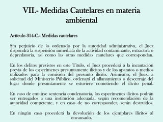 VII.- Medidas Cautelares en materia
                  ambiental
Artículo 314-C.- Medidas cautelares

Sin perjuicio de lo ordenado por la autoridad administrativa, el Juez
dispondrá la suspensión inmediata de la actividad contaminante, extractiva o
depredatoria, así como las otras medidas cautelares que correspondan.

En los delitos previstos en este Título, el Juez procederá a la incautación
previa de los especímenes presuntamente ilícitos y de los aparatos o medios
utilizados para la comisión del presunto ilícito. Asimismo, el Juez, a
solicitud del Ministerio Público, ordenará el allanamiento o descerraje del
lugar donde presuntamente se estuviere cometiendo el ilícito penal.

En caso de emitirse sentencia condenatoria, los especímenes ilícitos podrán
ser entregados a una institución adecuada, según recomendación de la
autoridad competente, y en caso de no corresponder, serán destruidos.

En ningún caso procederá la devolución de los ejemplares ilícitos al
                           encausado.
 