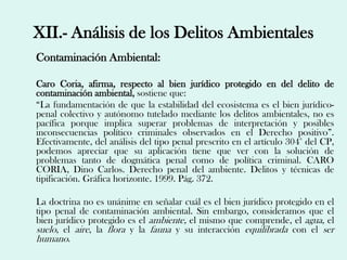 XII.- Análisis de los Delitos Ambientales
Contaminación Ambiental:

Caro Coria, afirma, respecto al bien jurídico protegido en del delito de
contaminación ambiental, sostiene que:
“La fundamentación de que la estabilidad del ecosistema es el bien jurídico-
penal colectivo y autónomo tutelado mediante los delitos ambientales, no es
pacífica porque implica superar problemas de interpretación y posibles
inconsecuencias político criminales observados en el Derecho positivo”.
Efectivamente, del análisis del tipo penal prescrito en el artículo 304° del CP,
podemos apreciar que su aplicación tiene que ver con la solución de
problemas tanto de dogmática penal como de política criminal. CARO
CORIA, Dino Carlos. Derecho penal del ambiente. Delitos y técnicas de
tipificación. Gráfica horizonte. 1999. Pág. 372.

La doctrina no es unánime en señalar cuál es el bien jurídico protegido en el
tipo penal de contaminación ambiental. Sin embargo, consideramos que el
bien jurídico protegido es el ambiente, el mismo que comprende, el agua, el
suelo, el aire, la flora y la fauna y su interacción equilibrada con el ser
humano.
 