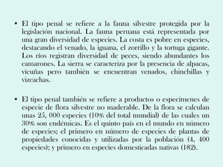 • El tipo penal se refiere a la fauna silvestre protegida por la
  legislación nacional. La fauna peruana está representada por
  una gran diversidad de especies. La costa es pobre en especies,
  destacando el venado, la iguana, el zorrillo y la tortuga gigante.
  Los ríos registran diversidad de peces, siendo abundantes los
  camarones. La sierra se caracteriza por la presencia de alpacas,
  vicuñas pero también se encuentran venados, chinchillas y
  vizcachas.

• El tipo penal también se refiere a productos o especímenes de
  especie de flora silvestre no maderable. De la flora se calculan
  unas 25, 000 especies (10% del total mundial) de las cuales un
  30% son endémicas. Es el quinto país en el mundo en número
  de especies; el primero en número de especies de plantas de
  propiedades conocidas y utilizadas por la población (4, 400
  especies); y primero en especies domesticadas nativas (182).
 