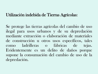 Utilización indebida de Tierras Agrícolas:

Se protege las tierras agrícolas del cambio de uso
ilegal para usos urbanos y de su depredación
mediante extracción o elaboración de materiales
de construcción u otros usos específicos, tales
como ladrilleras o fábricas de tejas.
Evidentemente es un delito de daños porque
supone la consumación del cambio de uso de la
depredación.
 
