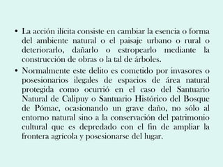 • La acción ilícita consiste en cambiar la esencia o forma
  del ambiente natural o el paisaje urbano o rural o
  deteriorarlo, dañarlo o estropearlo mediante la
  construcción de obras o la tal de árboles.
• Normalmente este delito es cometido por invasores o
  posesionarios ilegales de espacios de área natural
  protegida como ocurrió en el caso del Santuario
  Natural de Calipuy o Santuario Histórico del Bosque
  de Pómac, ocasionando un grave daño, no sólo al
  entorno natural sino a la conservación del patrimonio
  cultural que es depredado con el fin de ampliar la
  frontera agrícola y posesionarse del lugar.
 