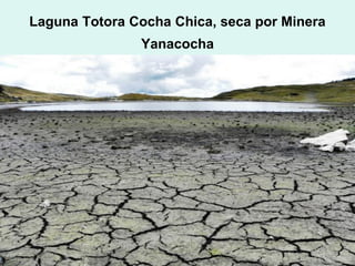 Laguna Totora Cocha Chica, seca por Minera
               Yanacocha
 