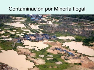 Contaminación por Minería Ilegal
 