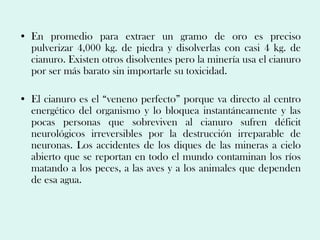 • En promedio para extraer un gramo de oro es preciso
  pulverizar 4,000 kg. de piedra y disolverlas con casi 4 kg. de
  cianuro. Existen otros disolventes pero la minería usa el cianuro
  por ser más barato sin importarle su toxicidad.

• El cianuro es el “veneno perfecto” porque va directo al centro
  energético del organismo y lo bloquea instantáneamente y las
  pocas personas que sobreviven al cianuro sufren déficit
  neurológicos irreversibles por la destrucción irreparable de
  neuronas. Los accidentes de los diques de las mineras a cielo
  abierto que se reportan en todo el mundo contaminan los ríos
  matando a los peces, a las aves y a los animales que dependen
  de esa agua.
 