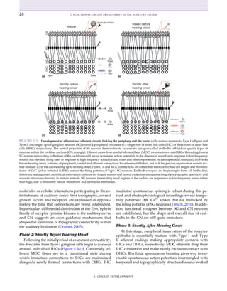 Neural Circuit Development And Function In The Healthy And Diseased ...