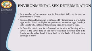 ENVIRONMENTAL SEX DETERMINATION
• In a number of organisms, sex is determined fully or in part by
environmental factors.
•...
