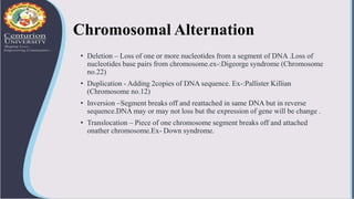 Chromosomal Alternation
• Deletion – Loss of one or more nucleotides from a segment of DNA .Loss of
nucleotides base pairs...