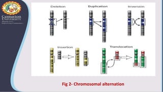:
Fig 2- Chromosomal alternation
 