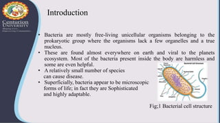 Introduction
• Bacteria are mostly free-living unicellular organisms belonging to the
prokaryotic group where the organisms lack a few organelles and a true
nucleus.
• These are found almost everywhere on earth and viral to the planets
ecosystem. Most of the bacteria present inside the body are harmless and
some are even helpful.
• A relatively small number of species
can cause disease.
• Superficially, bacteria appear to be microscopic
forms of life; in fact they are Sophisticated
and highly adaptable.
Fig;1 Bacterial cell structure
 