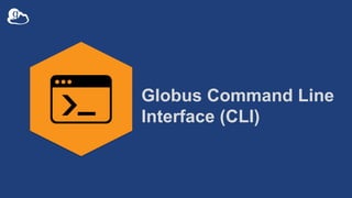 Globus Command Line
Interface (CLI)
 