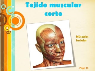 Page 15
Músculos
faciales
 