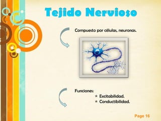 Page 16
Compuesto por células, neuronas.
Funciones:
 Excitabilidad.
 Conductibilidad.
 