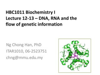 HBC1011 Biochemistry I
Lecture 12-13 – DNA, RNA and the
flow of genetic information
Ng Chong Han, PhD
ITAR1010, 06-2523751
chng@mmu.edu.my
 
