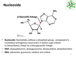 Nucleoside
• Nucleoside: Nucleotides without a phosphate group, composed of a
nucleobase (nitrogenous base) and a 5-carbon sugar (ribose
or deoxyribose), linked via a beta-glycosidic linkage.
• DNA: deoxyadenosine, deoxyguanosine, deoxycytidine, deoxythymidine
• RNA: adenosine, guanosine, cytidine and uridine
10
 