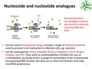 Nucleoside and nucleotide analogues
• Can be used in therapeutic drugs, include a range of antiviral products
used to prevent viral replication in infected cells, eg. acyclovir.
• Can be used against cancer, hepatitis B virus, hepatitis C virus, herpes
simplex, and HIV. They work as antimetabolites (inhibits the use of
a metabolite), by being similar enough to nucleotides to be incorporated
into growing DNA strands; but they act as chain terminators and stop
viral DNA polymerase.
14
Compounds which
are analogous (structur
ally similar) to naturally
occurring RNA and
DNA
 