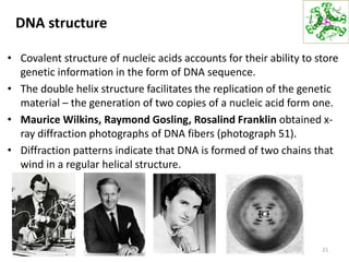 DNA structure
• Covalent structure of nucleic acids accounts for their ability to store
genetic information in the form of DNA sequence.
• The double helix structure facilitates the replication of the genetic
material – the generation of two copies of a nucleic acid form one.
• Maurice Wilkins, Raymond Gosling, Rosalind Franklin obtained x-
ray diffraction photographs of DNA fibers (photograph 51).
• Diffraction patterns indicate that DNA is formed of two chains that
wind in a regular helical structure.
21
 