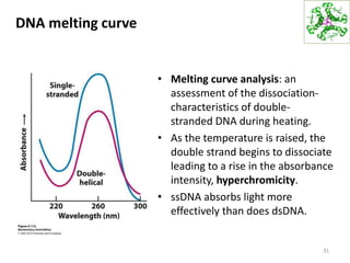 DNA melting curve
• Melting curve analysis: an
assessment of the dissociation-
characteristics of double-
stranded DNA during heating.
• As the temperature is raised, the
double strand begins to dissociate
leading to a rise in the absorbance
intensity, hyperchromicity.
• ssDNA absorbs light more
effectively than does dsDNA.
31
 
