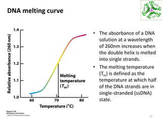 DNA melting curve
• The absorbance of a DNA
solution at a wavelength
of 260nm increases when
the double helix is melted
into single strands.
• The melting temperature
(Tm) is defined as the
temperature at which half
of the DNA strands are in
single-stranded (ssDNA)
state.
32
 