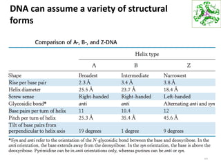 35
DNA can assume a variety of structural
forms
 