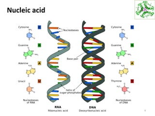 Nucleic acid
4
 
