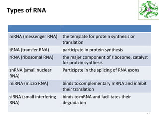 Types of RNA
mRNA (messenger RNA) the template for protein synthesis or
translation
tRNA (transfer RNA) participate in protein synthesis
rRNA (ribosomal RNA) the major component of ribosome, catalyst
for protein synthesis
snRNA (small nuclear
RNA)
Participate in the splicing of RNA exons
miRNA (micro RNA) binds to complementary mRNA and inhibit
their translation
siRNA (small interfering
RNA)
binds to mRNA and facilitates their
degradation
47
 