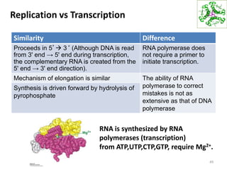 Replication vs Transcription
Similarity Difference
Proceeds in 5’ 3‘ (Although DNA is read
from 3' end → 5' end during transcription,
the complementary RNA is created from the
5' end → 3' end direction).
RNA polymerase does
not require a primer to
initiate transcription.
Mechanism of elongation is similar The ability of RNA
polymerase to correct
mistakes is not as
extensive as that of DNA
polymerase
Synthesis is driven forward by hydrolysis of
pyrophosphate
49
RNA is synthesized by RNA
polymerases (transcription)
from ATP,UTP,CTP,GTP, require Mg2+.
 
