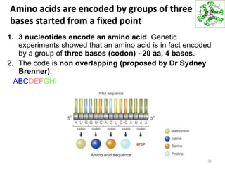 Amino acids are encoded by groups of three
bases started from a fixed point
1. 3 nucleotides encode an amino acid. Genetic
experiments showed that an amino acid is in fact encoded
by a group of three bases (codon) - 20 aa, 4 bases.
2. The code is non overlapping (proposed by Dr Sydney
Brenner).
ABCDEFGHI
52
 
