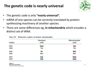 The genetic code is nearly universal
• The genetic code is only “nearly universal”.
• mRNA of one species can be correctly translated by protein-
synthesizing machinery of another species.
• There are some differences eg, in mitochondria which encodes a
distinct set of tRNA.
56
 