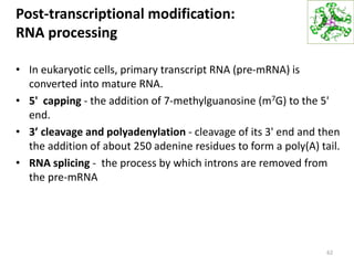 Post-transcriptional modification:
RNA processing
• In eukaryotic cells, primary transcript RNA (pre-mRNA) is
converted into mature RNA.
• 5' capping - the addition of 7-methylguanosine (m7G) to the 5'
end.
• 3’ cleavage and polyadenylation - cleavage of its 3' end and then
the addition of about 250 adenine residues to form a poly(A) tail.
• RNA splicing - the process by which introns are removed from
the pre-mRNA
62
 