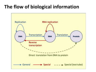 The flow of biological information
 