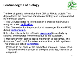Central dogma of biology
The flow of genetic information from DNA to RNA to protein: This
dogma forms the backbone of molecular biology and is represented
by four major stages.
1. The DNA replicates its information in a process that involves
many enzymes: replication.
2. The DNA codes for the production of messenger RNA (mRNA)
during transcription.
3. In eukaryotic cells, the mRNA is processed (essentially by
splicing) and migrates from the nucleus to the cytoplasm.
4. Messenger RNA carries coded information to ribosomes. The
ribosomes "read" this information and use it for protein synthesis.
This process is called translation.
• Proteins do not code for the production of protein, RNA or DNA.
They are involved in almost all biological activities, structural or
enzymatic.
65
 