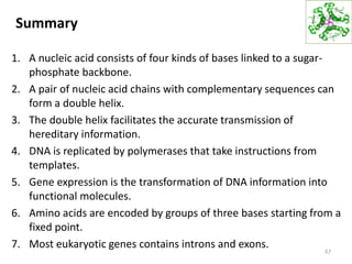 Summary
1. A nucleic acid consists of four kinds of bases linked to a sugar-
phosphate backbone.
2. A pair of nucleic acid chains with complementary sequences can
form a double helix.
3. The double helix facilitates the accurate transmission of
hereditary information.
4. DNA is replicated by polymerases that take instructions from
templates.
5. Gene expression is the transformation of DNA information into
functional molecules.
6. Amino acids are encoded by groups of three bases starting from a
fixed point.
7. Most eukaryotic genes contains introns and exons. 67
 