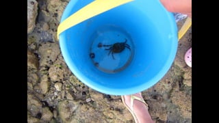 Ile de Re, Saint-Martin-de-Ré